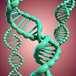 Dna